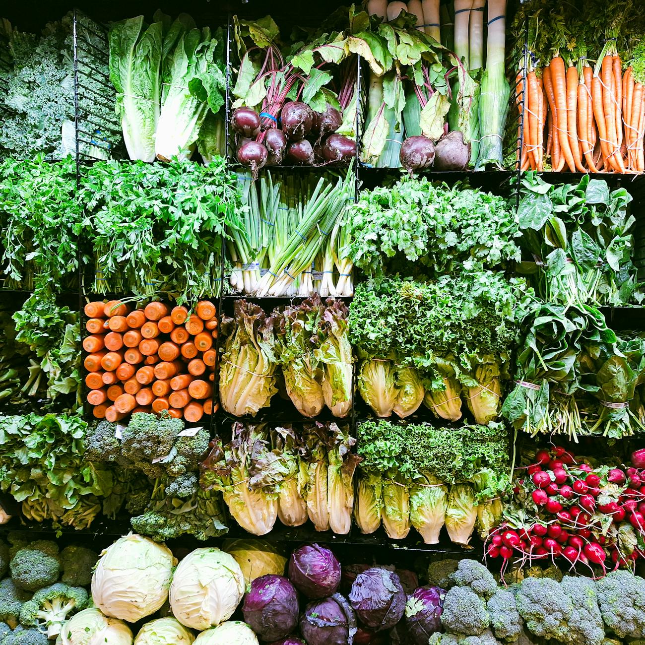 Data Analysis in Nutrition