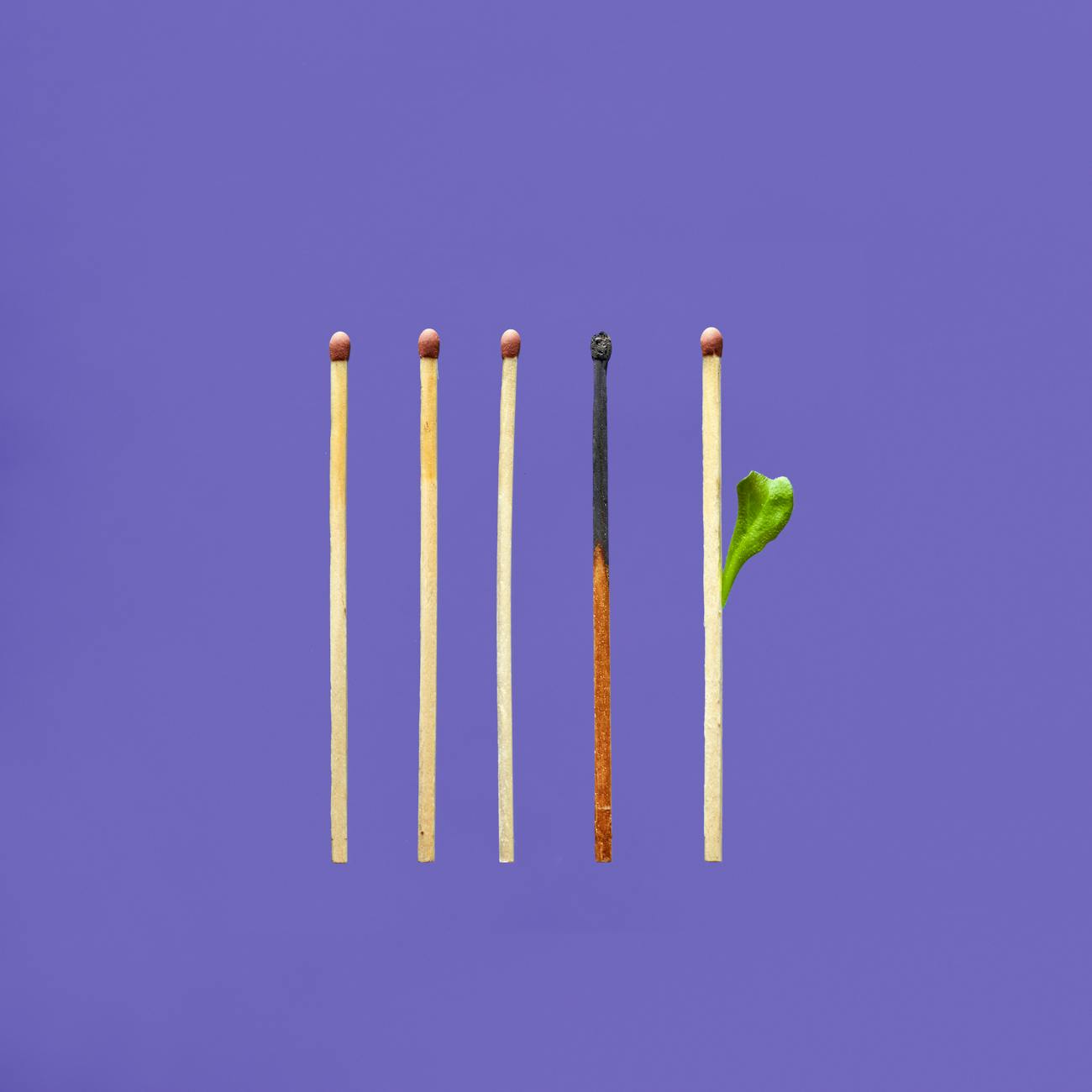 Understanding Individual Differences