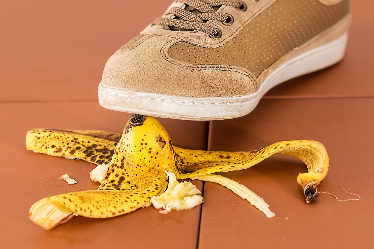 Risk Assessment for GMOs