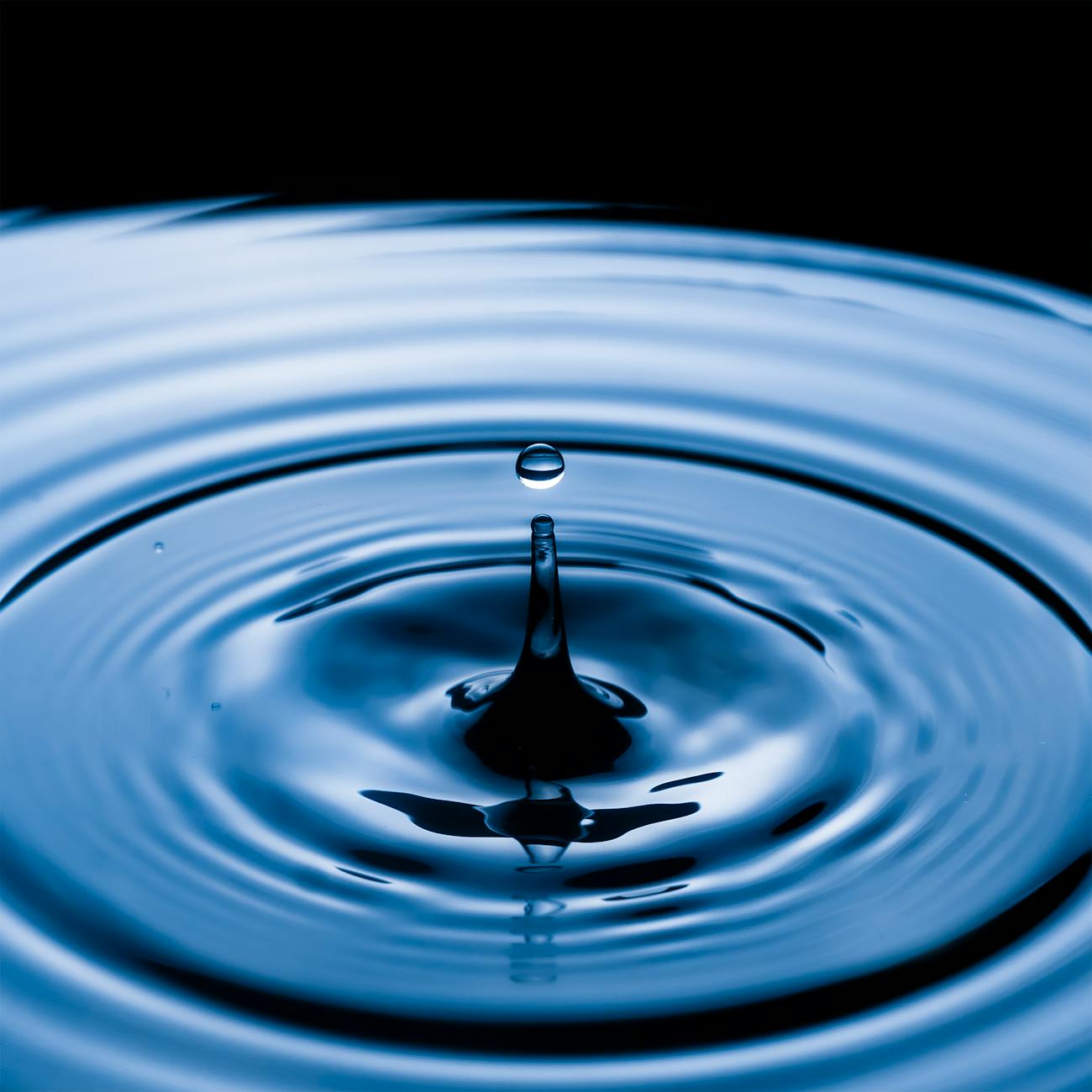 Risk Assessment and Decision Making in Water Resource Projects