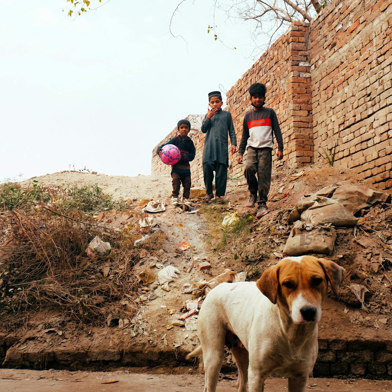 Health Inequalities and Social Determinants of Health