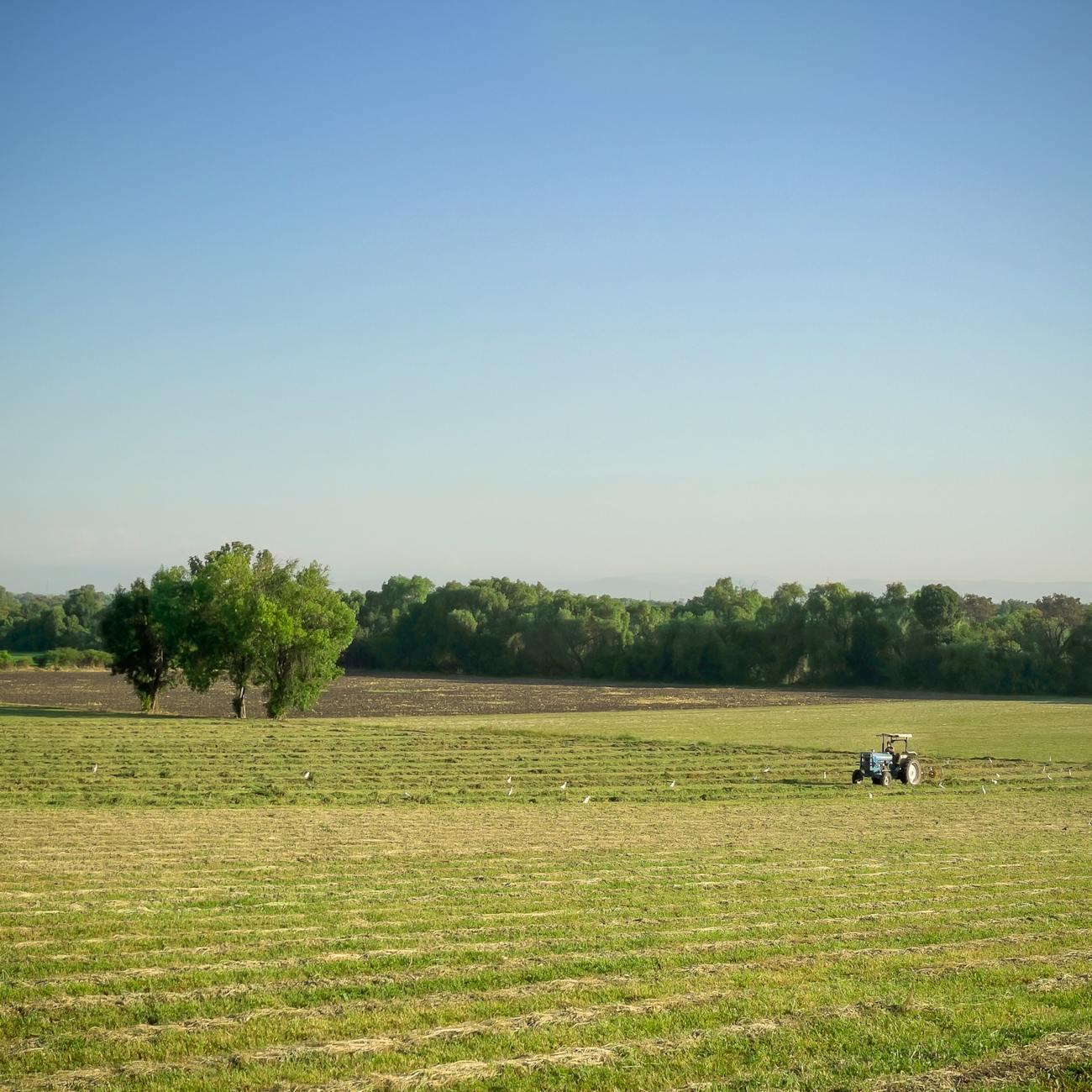 Autonomous Vehicles in Agriculture