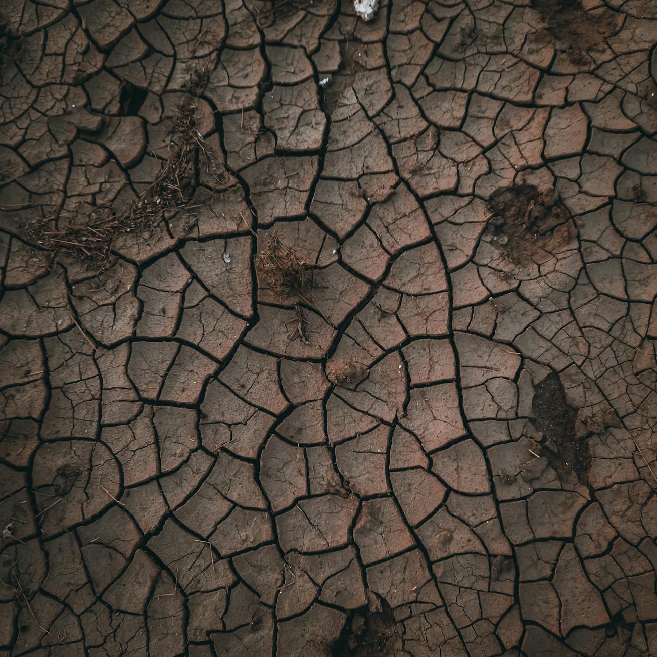 AI Applications in Disaster Risk Reduction