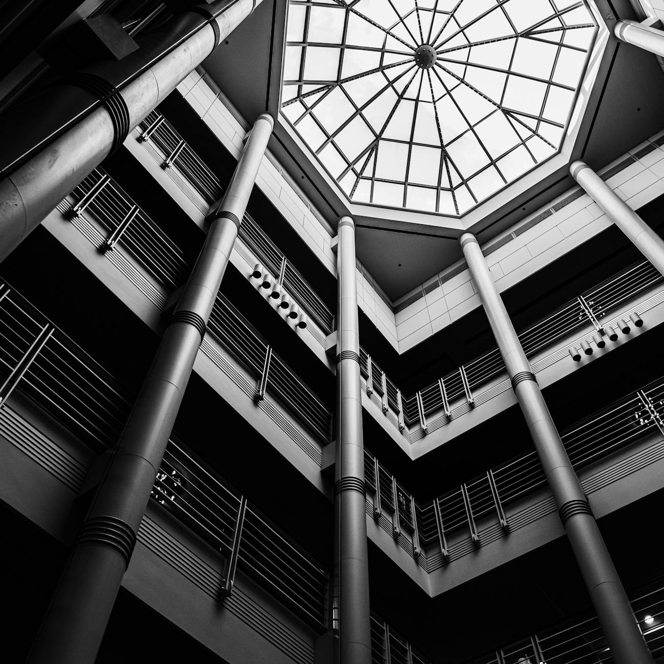 International Business Law
