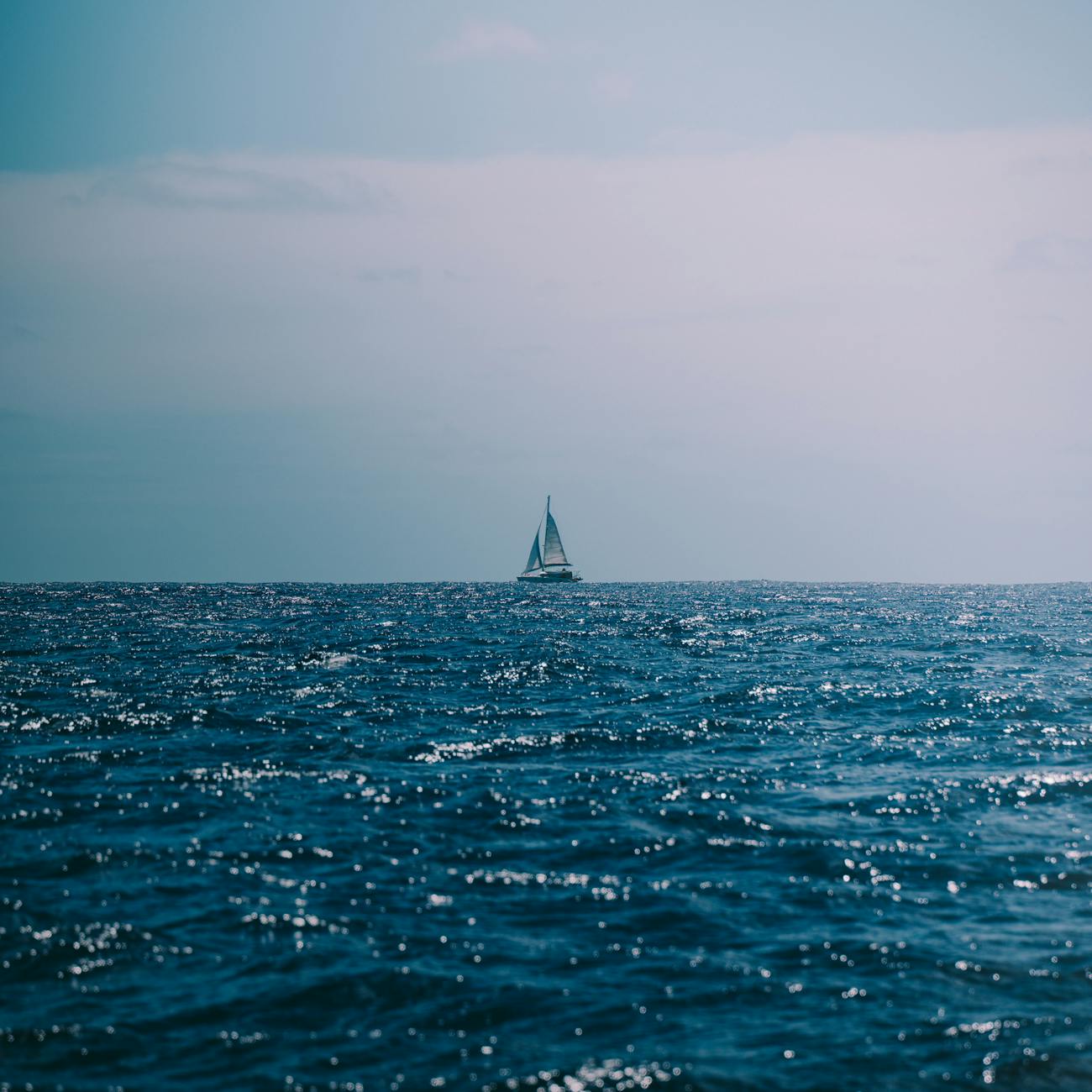 Law of Marine Insurance Claims