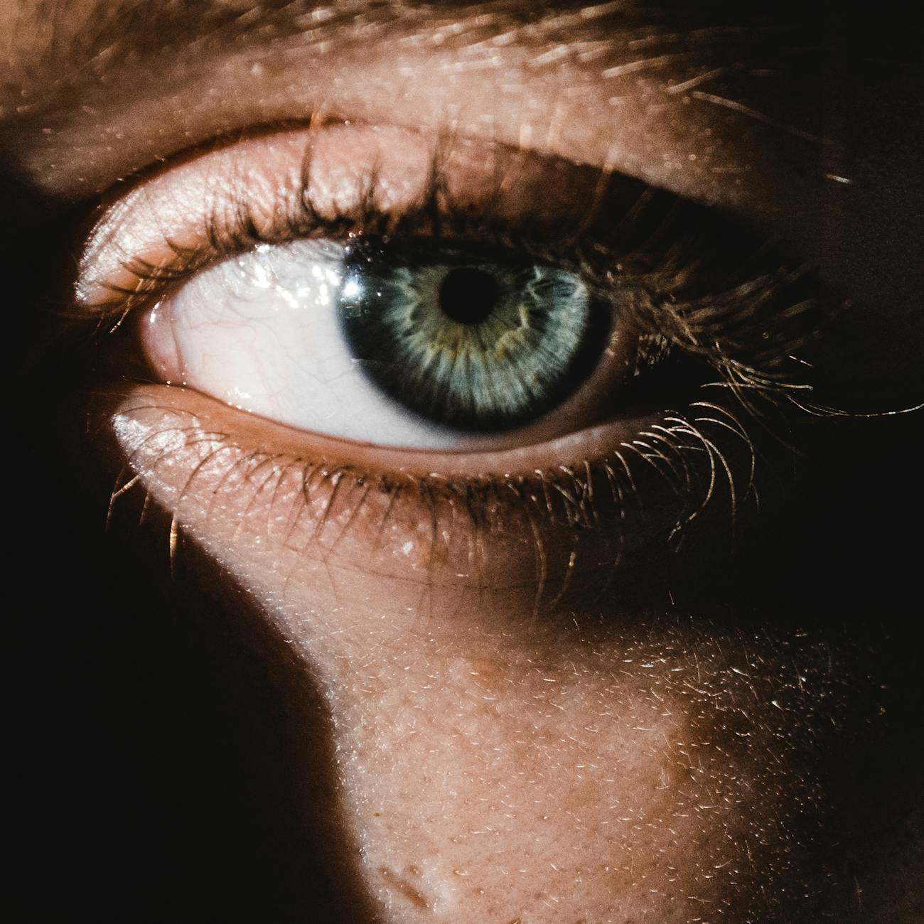 Emerging Therapies in Ocular Oncology