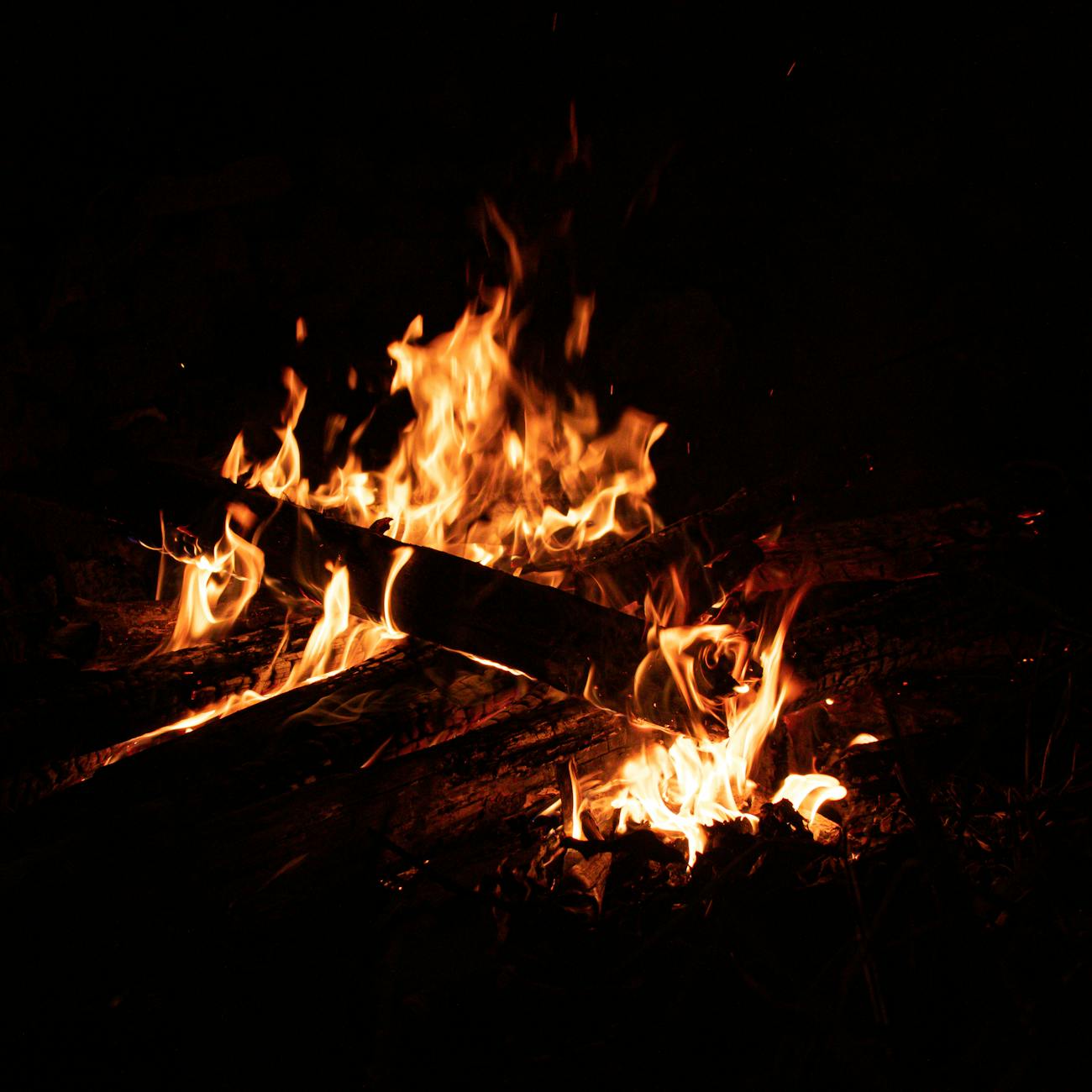 Computer Vision for Fire Behavior Analysis