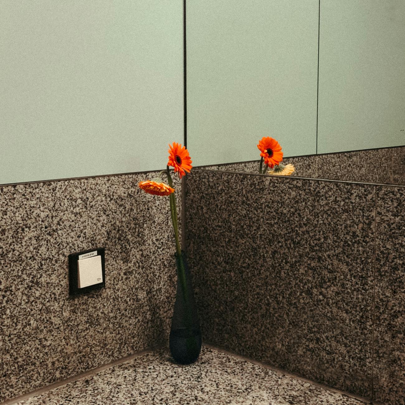 Restroom Cleaning Best Practices