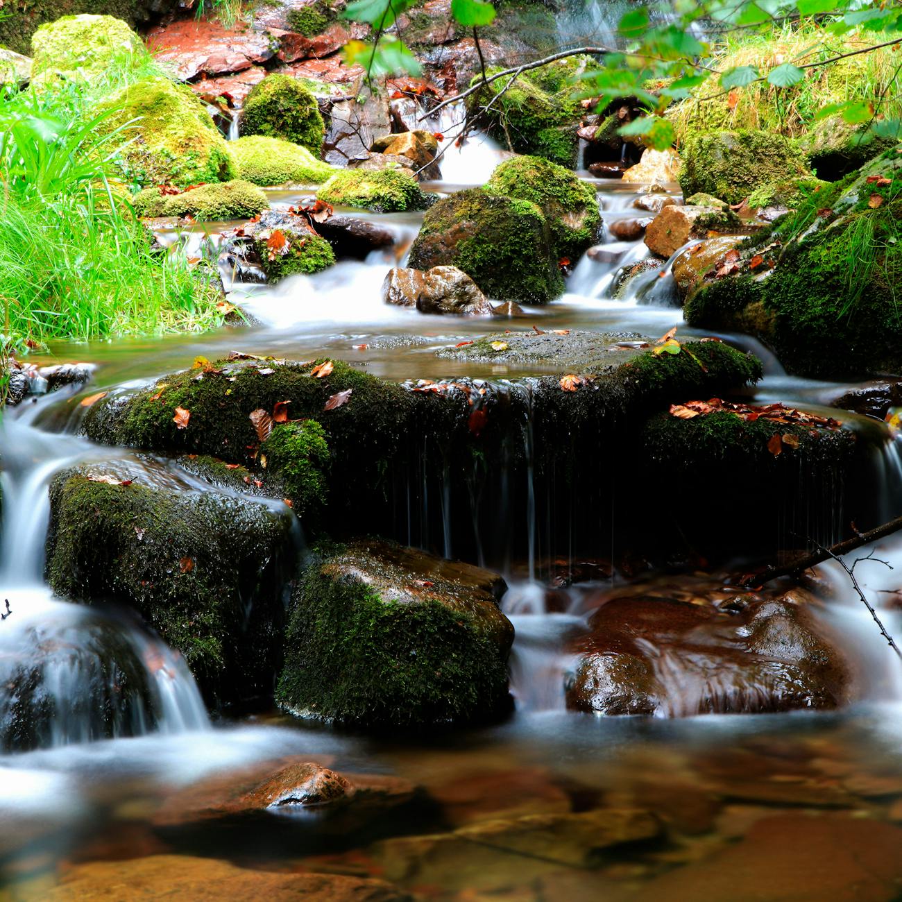 Regulations and Policies in Hydropower  