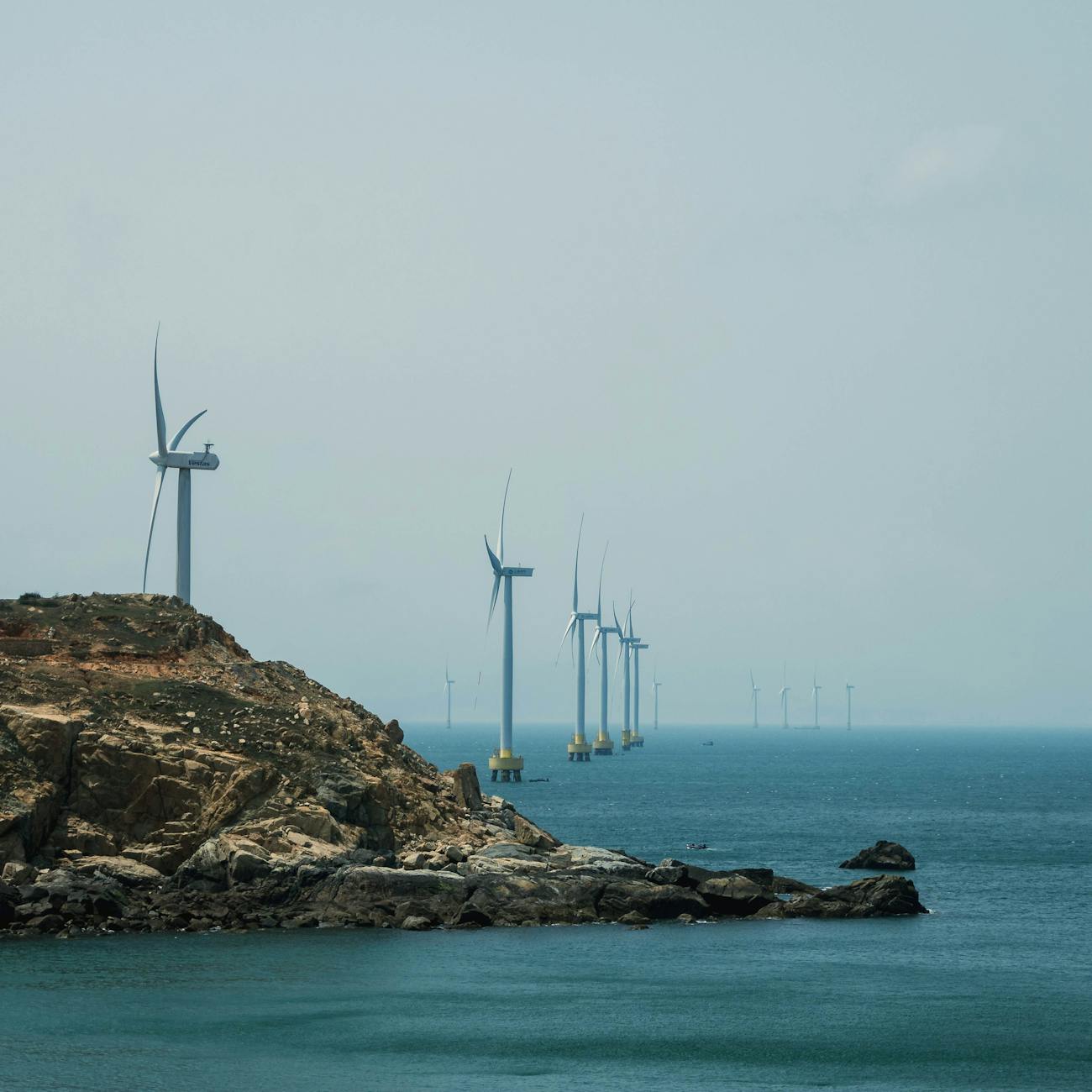 Project Management in Renewable Energy