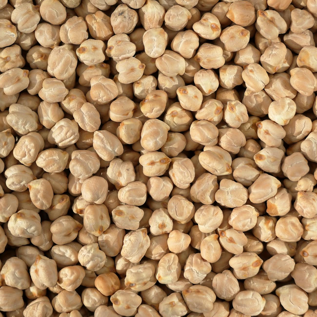 GMO Labeling and Traceability