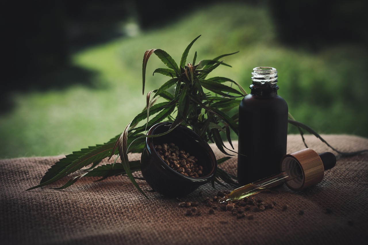 Herbal Remedies for Common Ailments