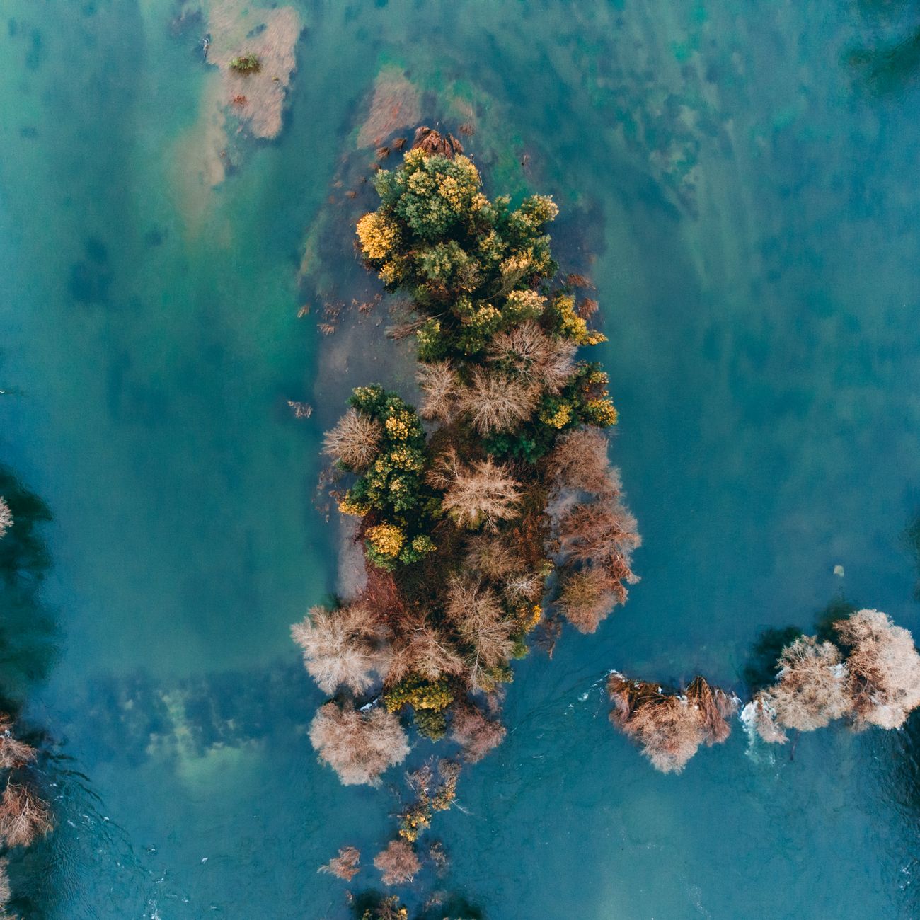 EU Environmental Law