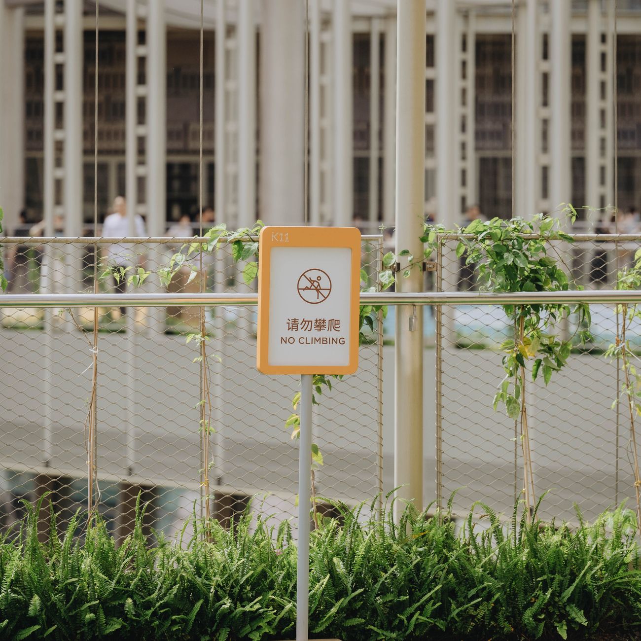 Visa Regulations and Policies