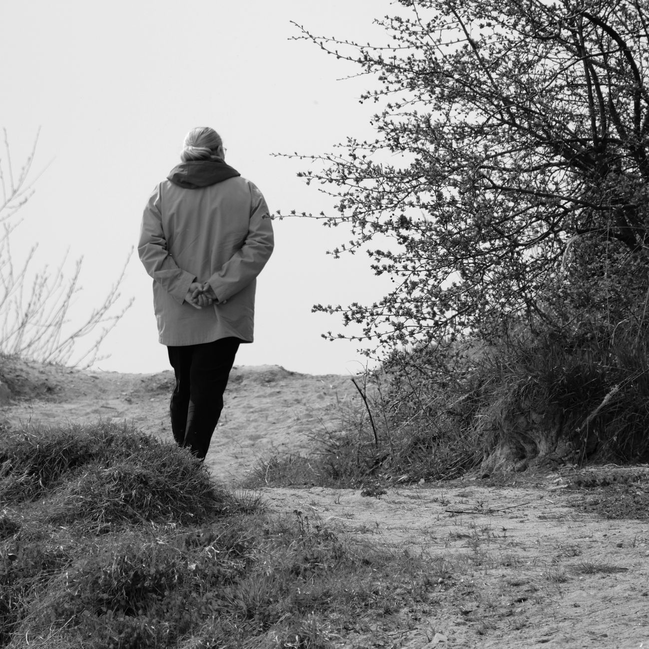 Research Methods in Health Inequalities