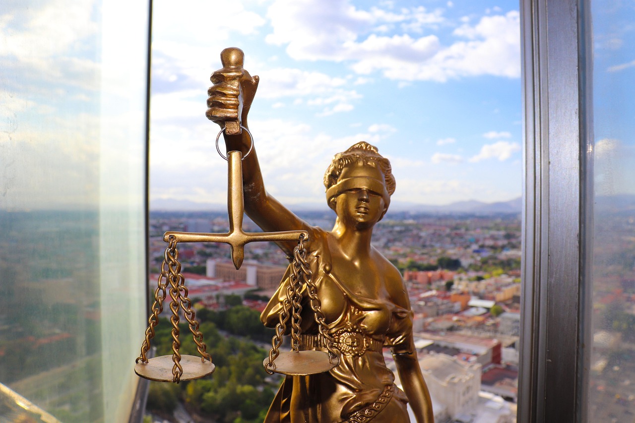 Privacy and Publicity Rights