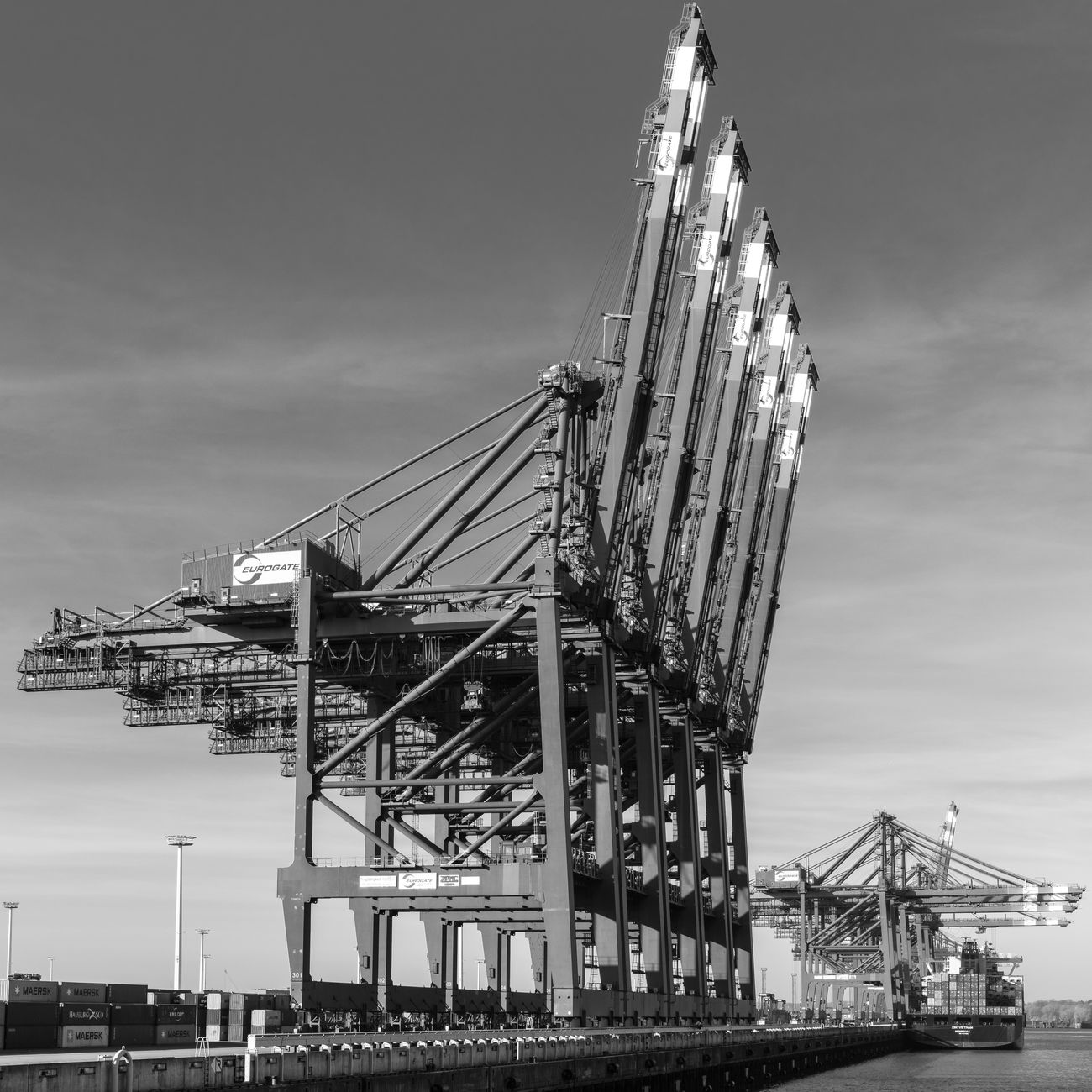 Procurement and Supplier Management