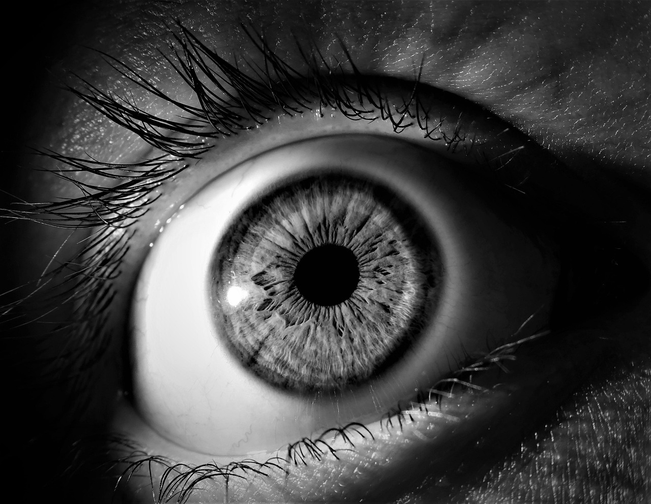 Functional Vision and Activities of Daily Living