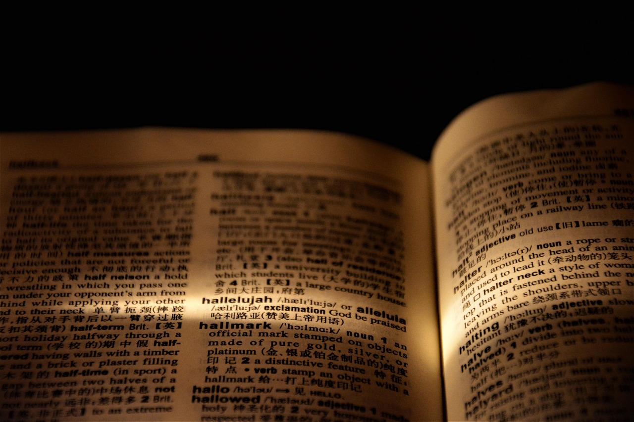 Natural Language Processing (NLP)