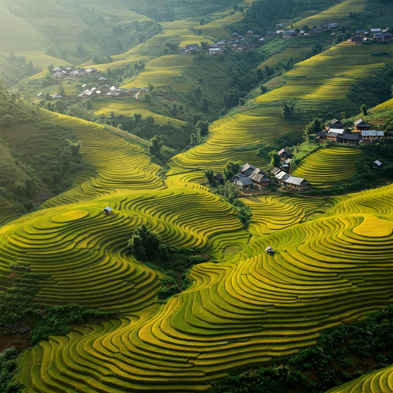 Sustainable Development and Geopolitical Resource Management