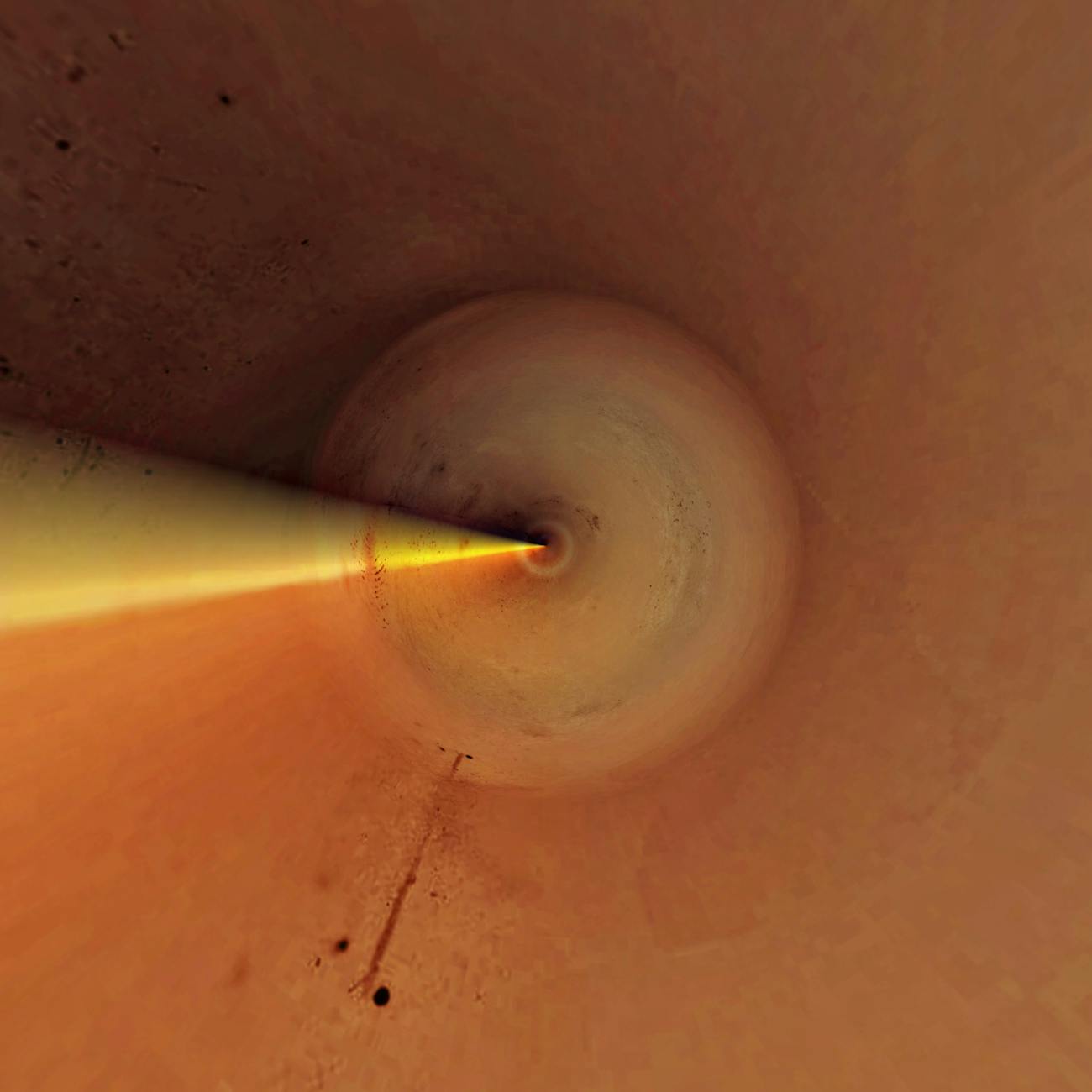 Echocardiography Image Acquisition and Optimization