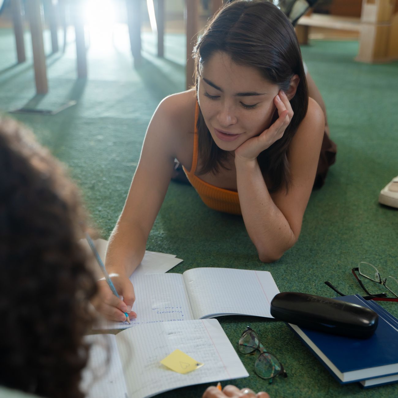 Individualized Education Plans (IEPs)