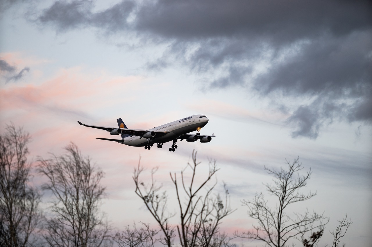 Monitoring Visa Policy Changes