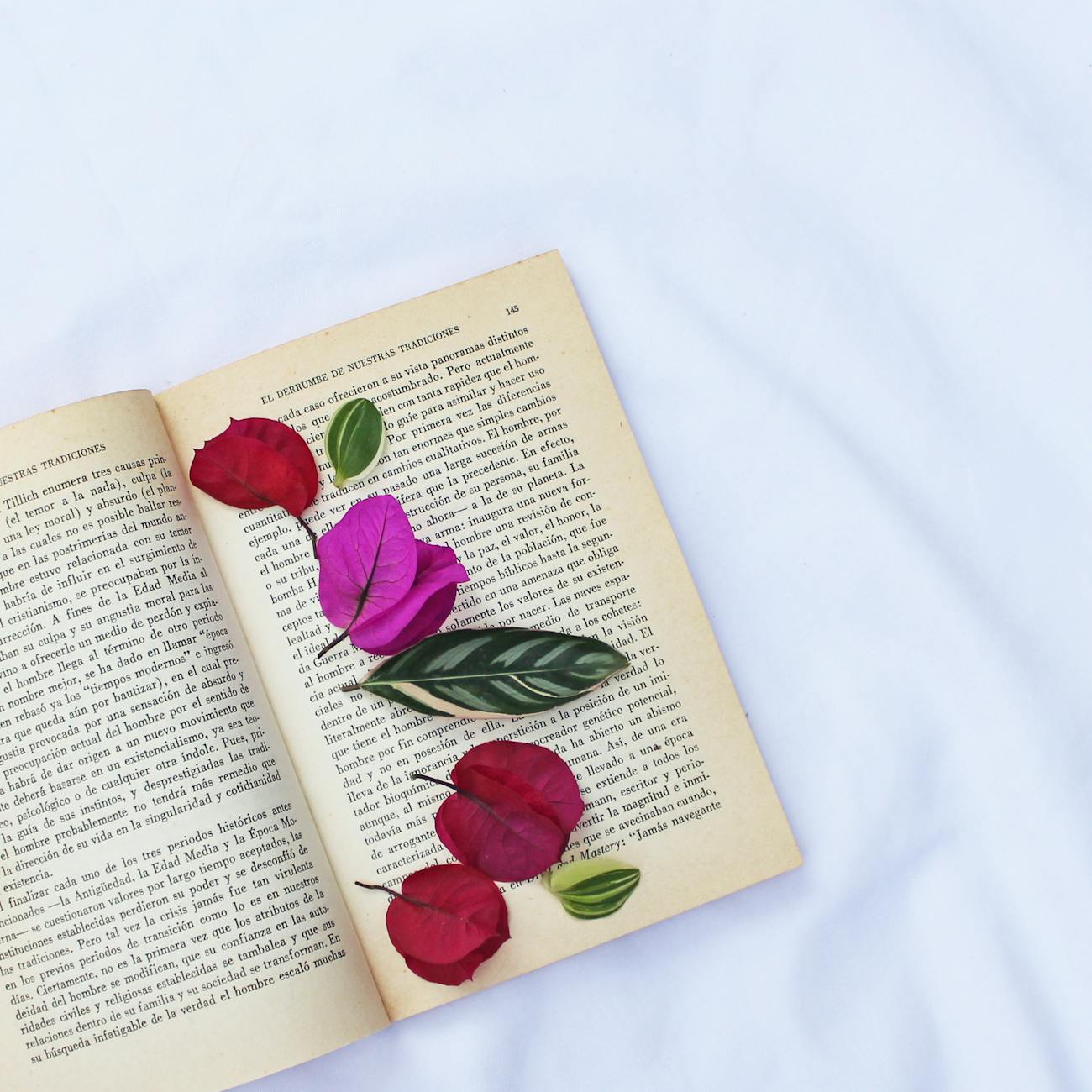 Using Poetry for Healing and Resilience