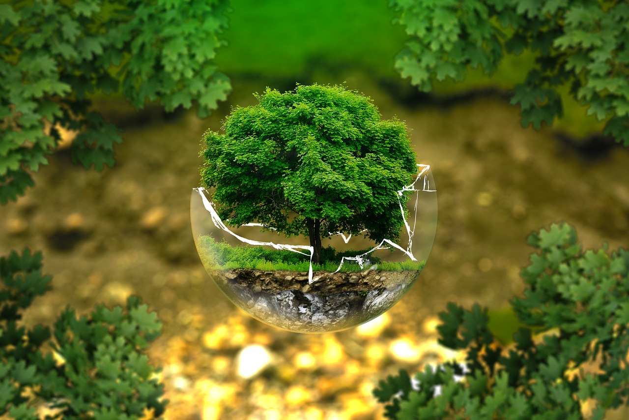 Detoxification and Environmental Medicine