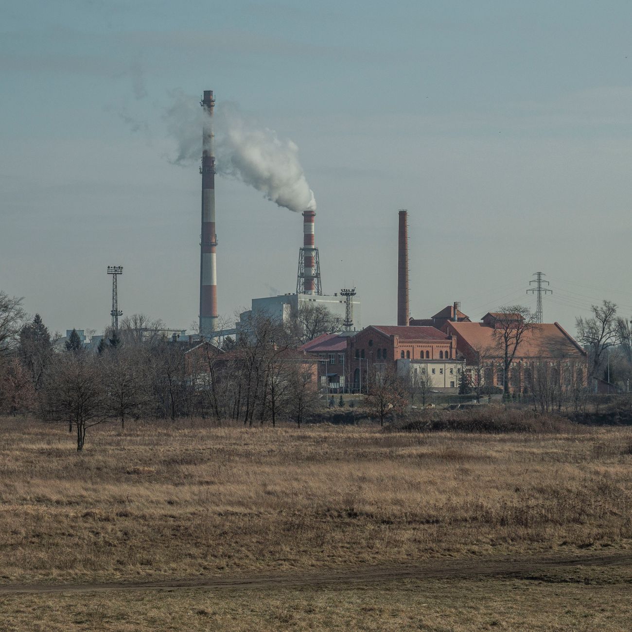 Downstream Processing