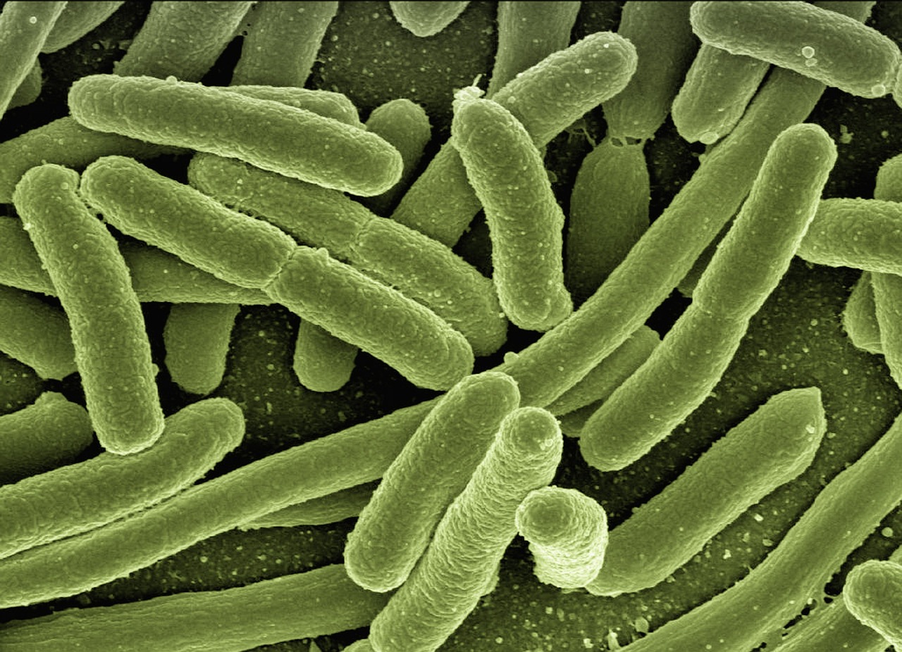 Waterborne Pathogens and Healthcare Associated Infections