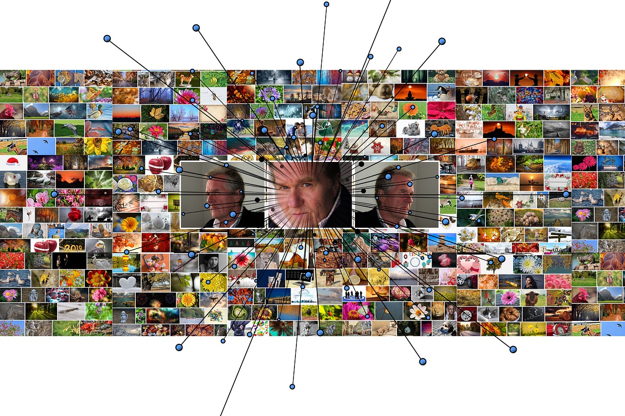 Predictive Modeling for Biodiversity
