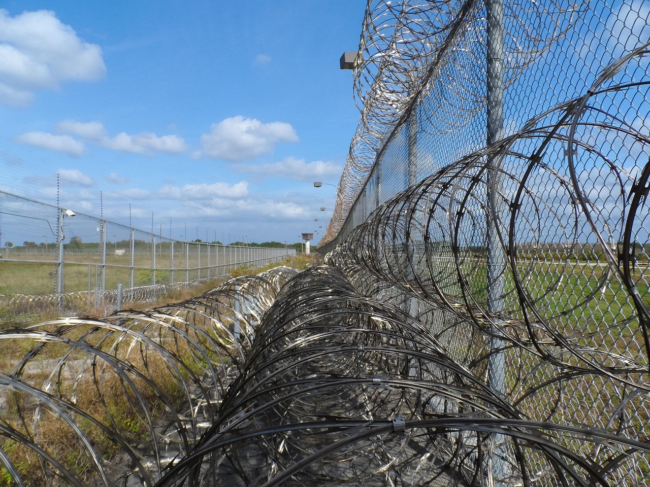 Detention and Removal