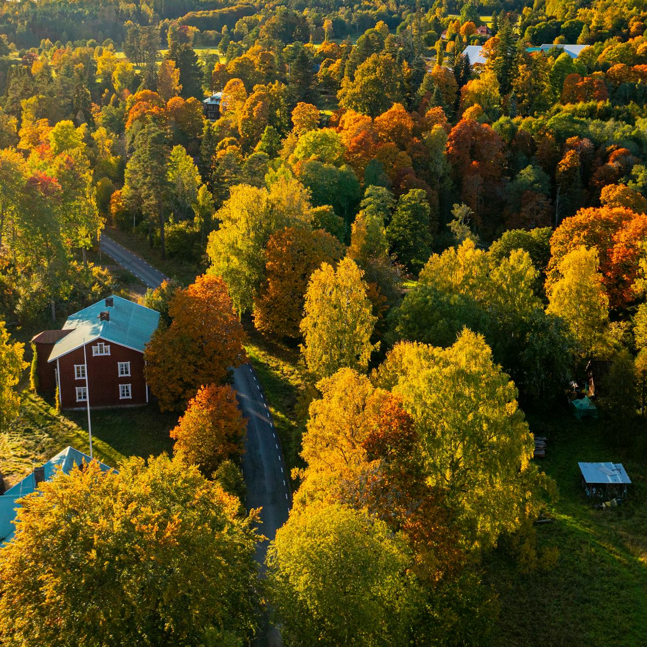 Climate Change Adaptation Strategies