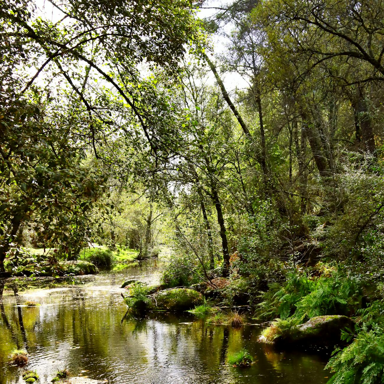 Sacred Lands and Sacred Waters