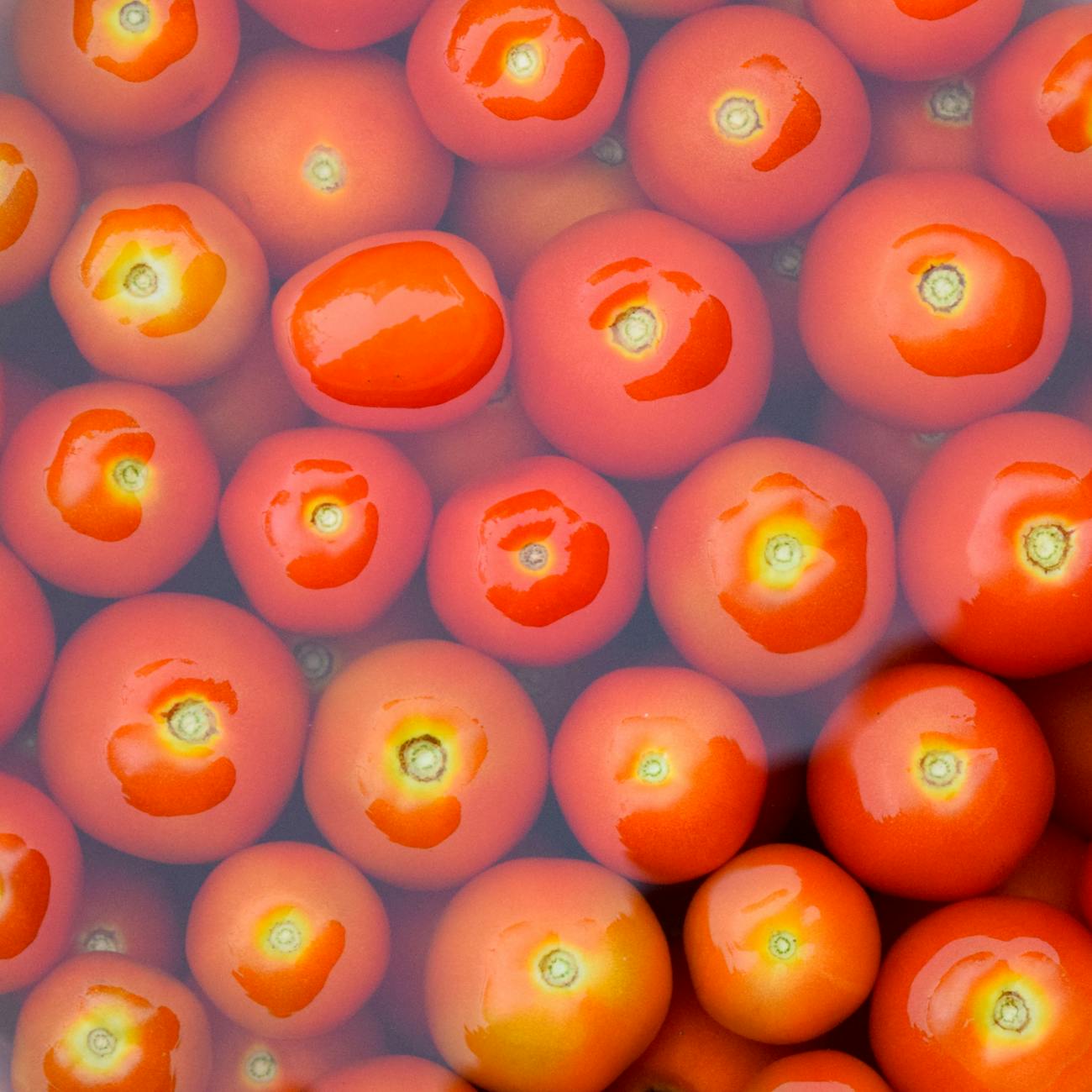Food Chemistry Research and Innovation