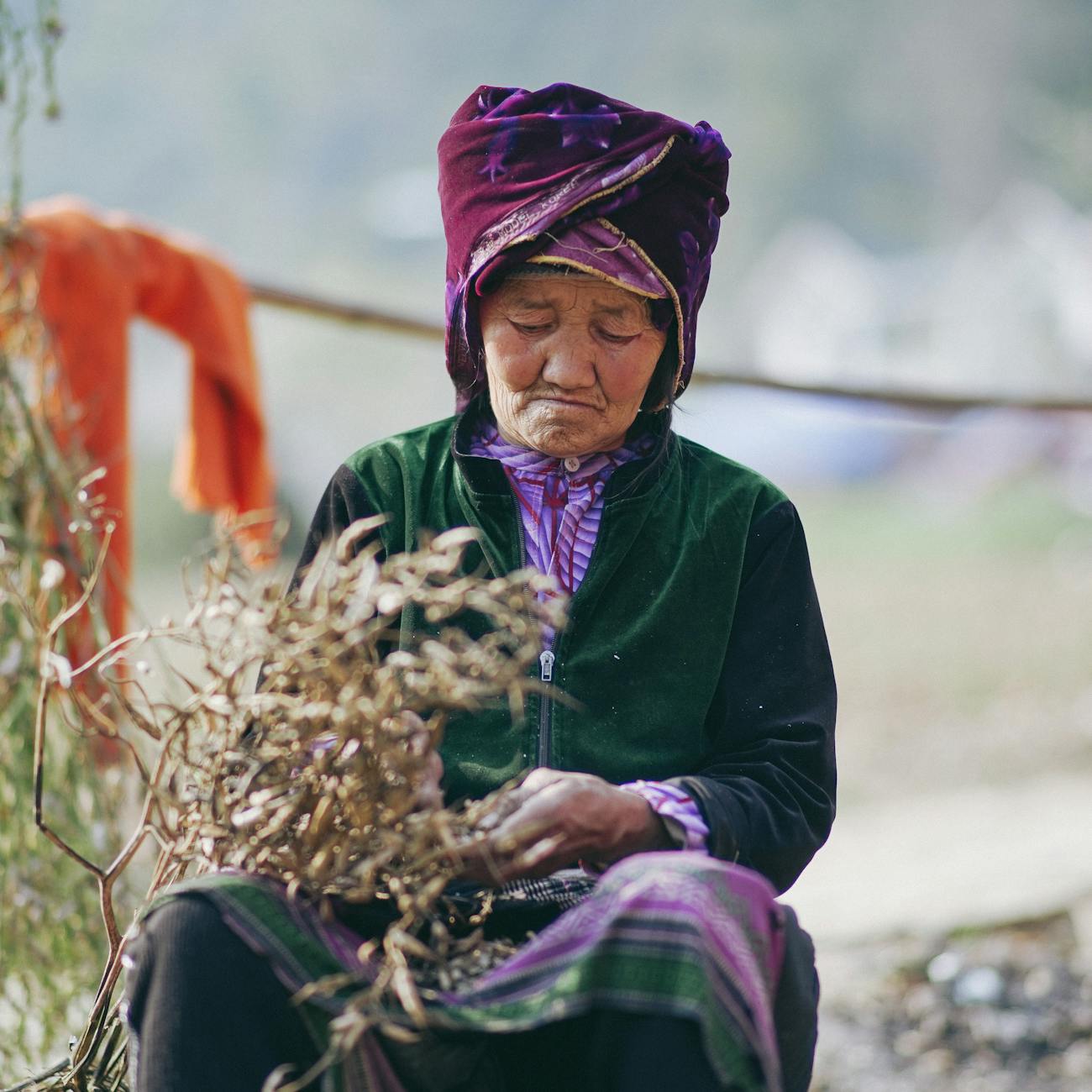 Cultural Uses of Plants