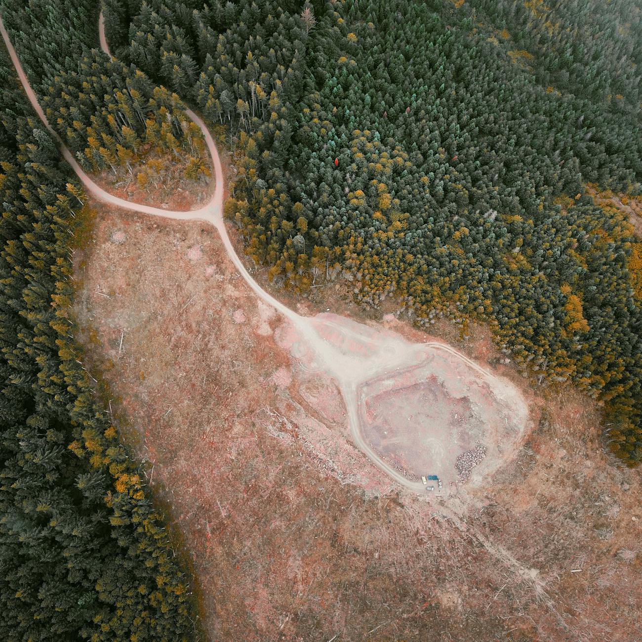 GIS and Spatial Analysis for Biodiversity Conservation with AI