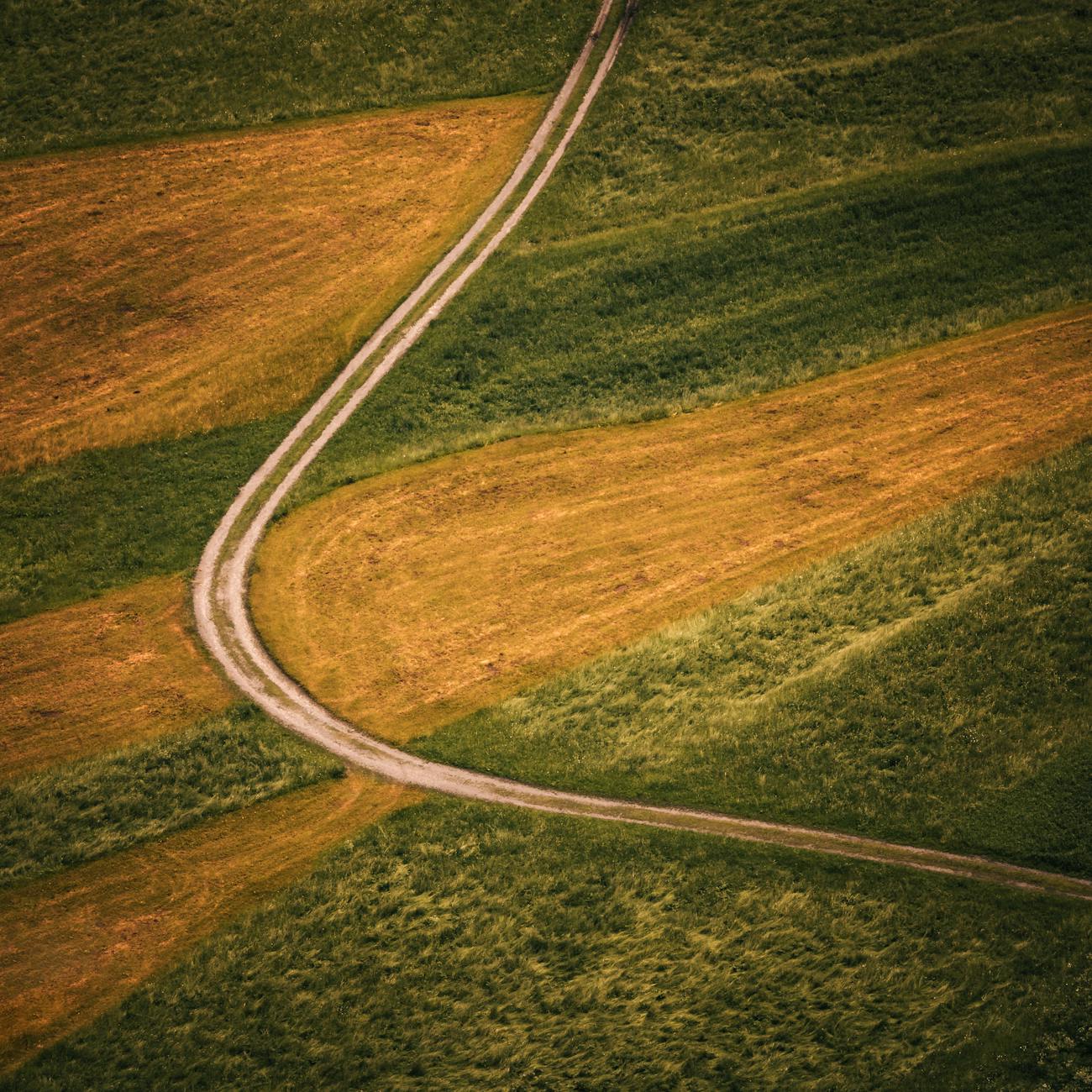 Marketing and Business Planning for Regenerative Farms