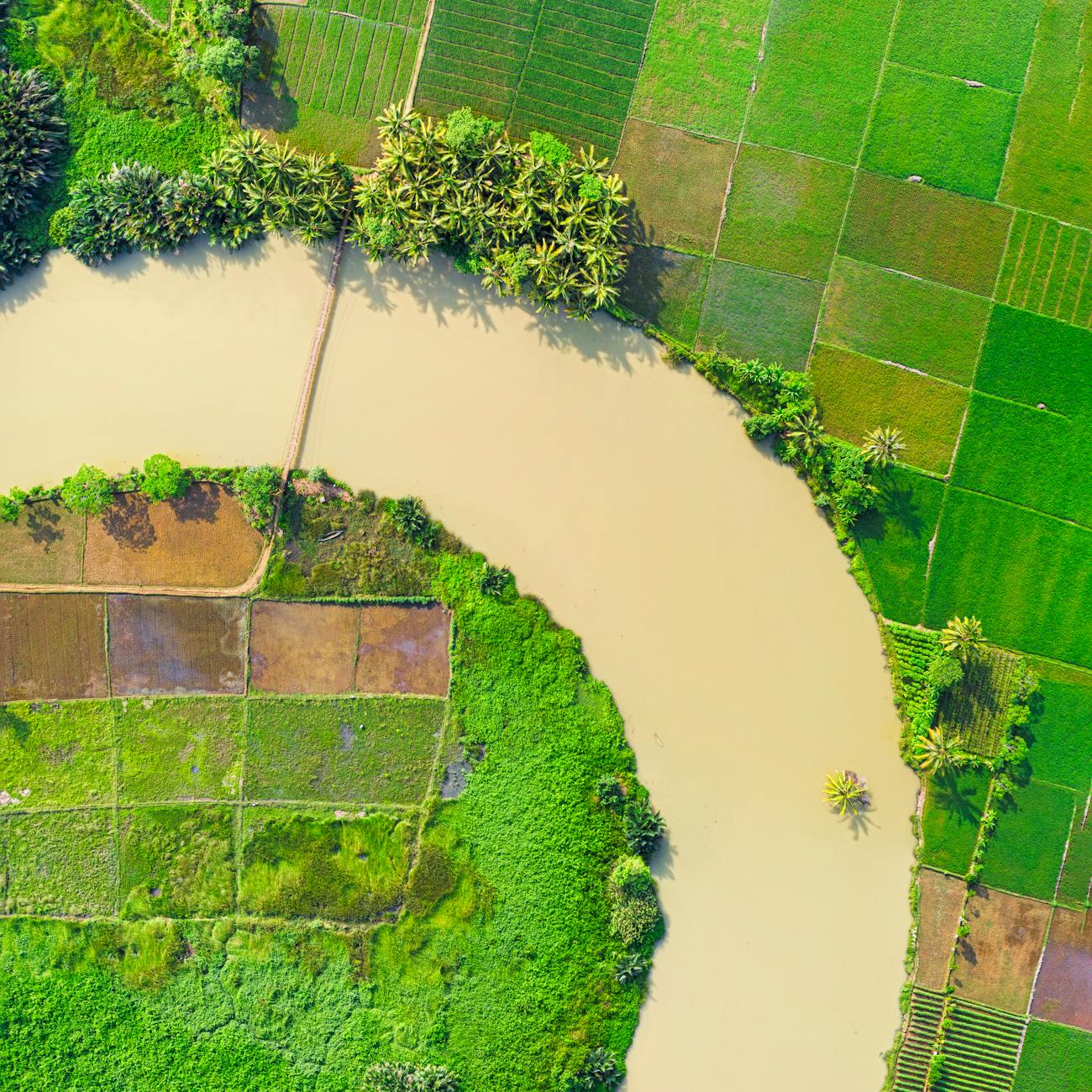 Sustainable Development Goals and Financing