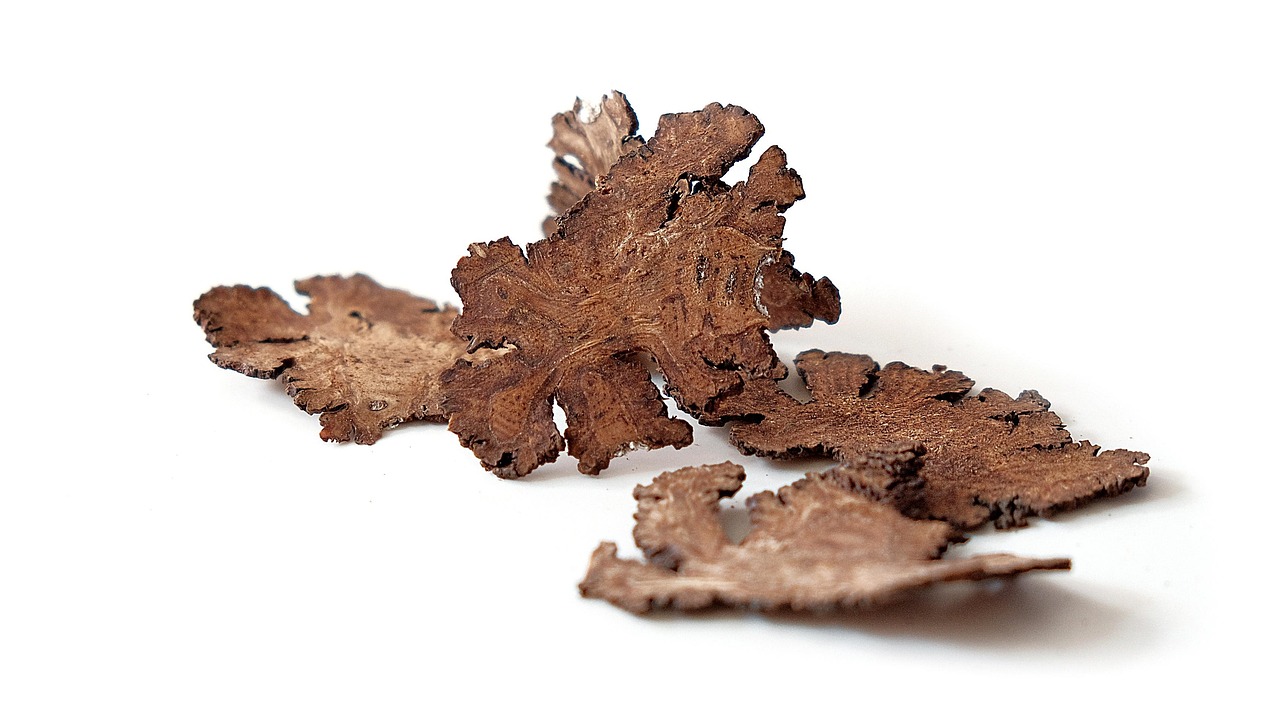 Traditional Chinese Medicine