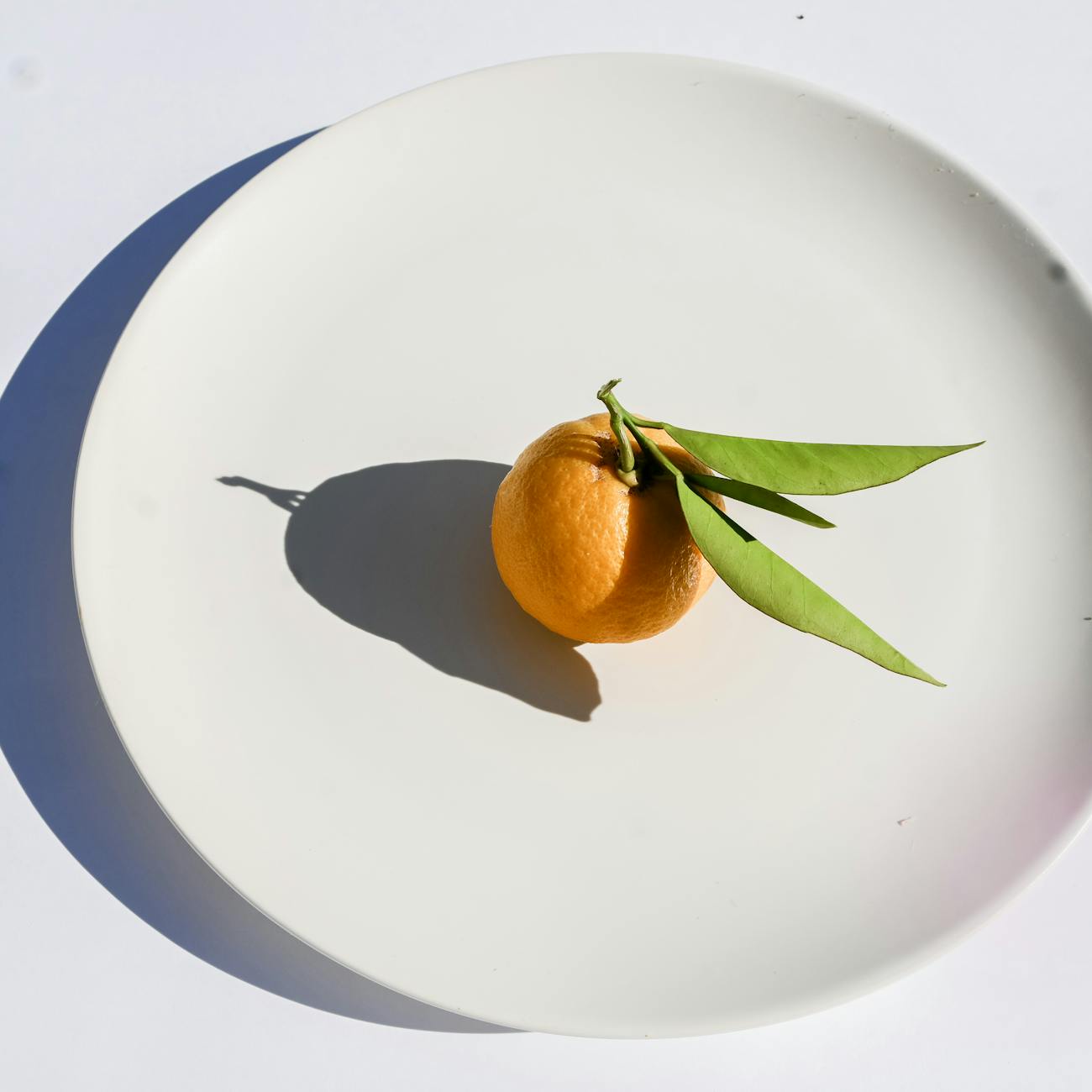 Nutrition and Chronic Disease