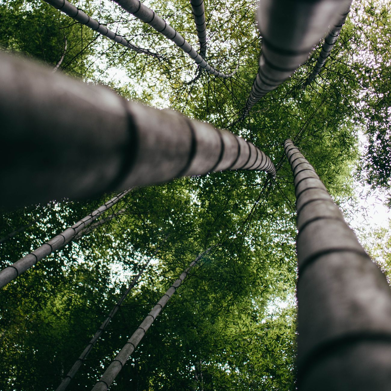 Assessment and Evaluation in Environmental Education.