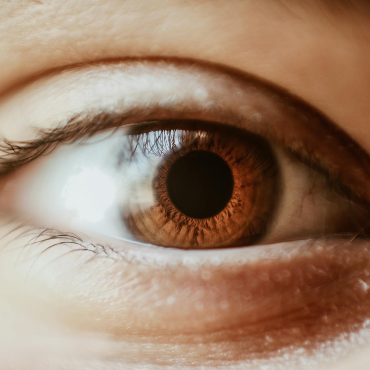 Automated Disease Detection in Retinal Imaging