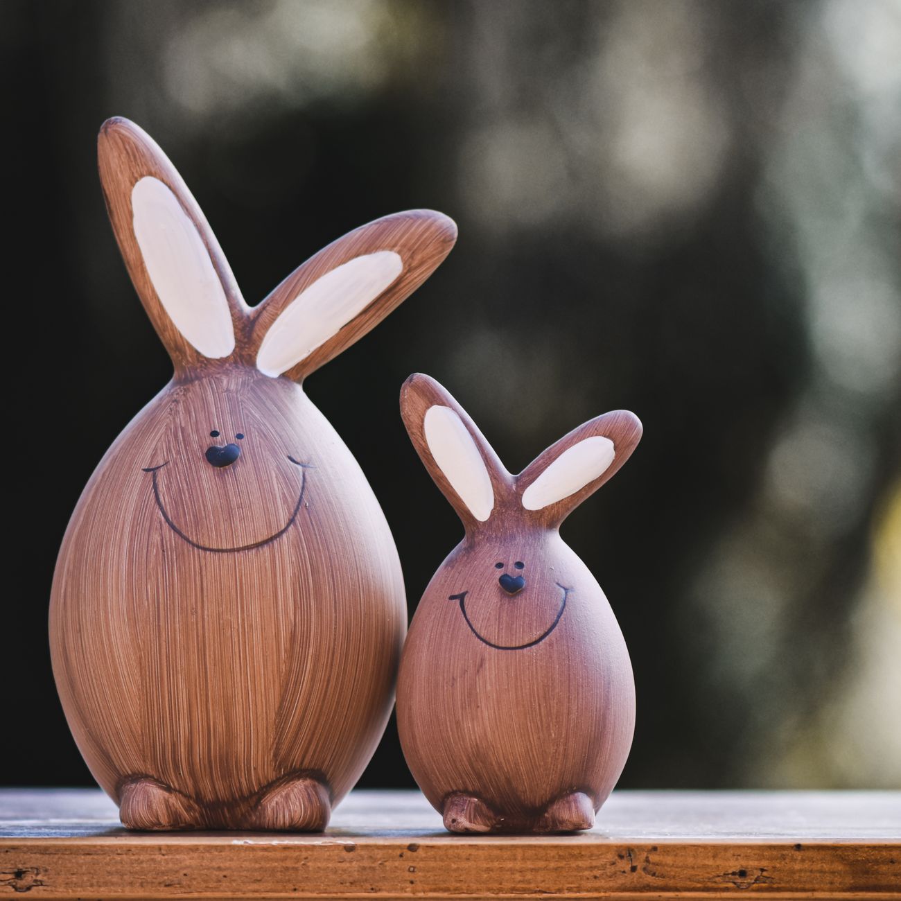 Herbal Remedies for Infectious Diseases in Rabbits