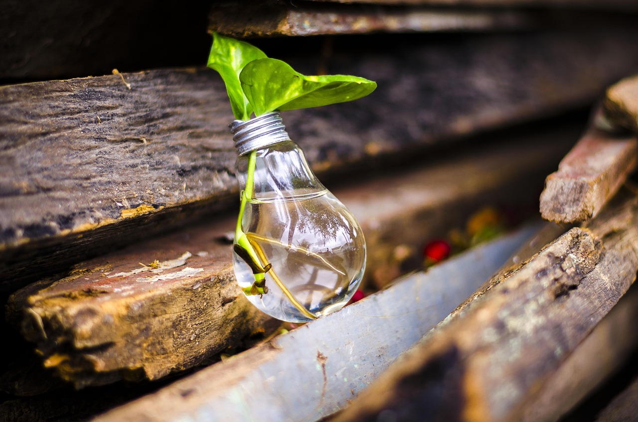 Marketing and Selling Upcycled Art