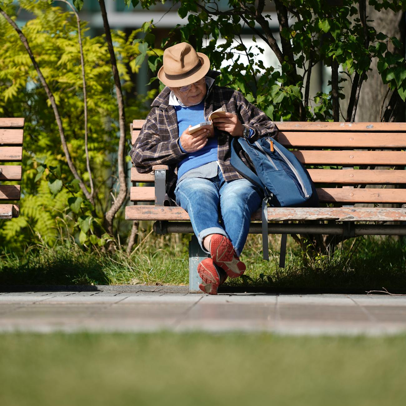 Chronic Disease Prevention and Longevity