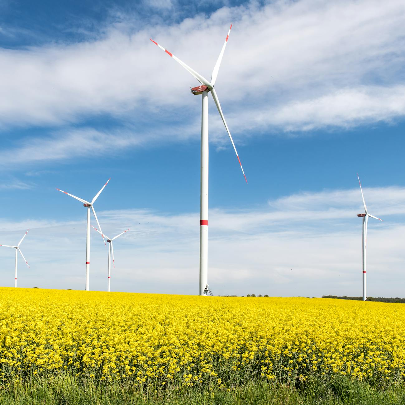 Energy Risk Management