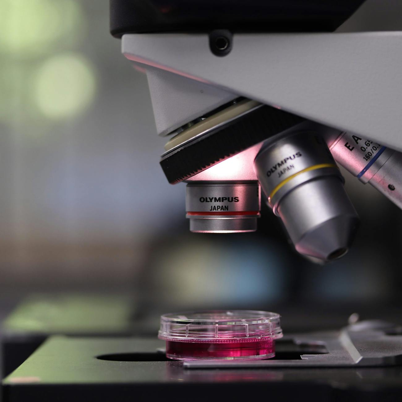 Global Harmonization of Genomics Regulations
