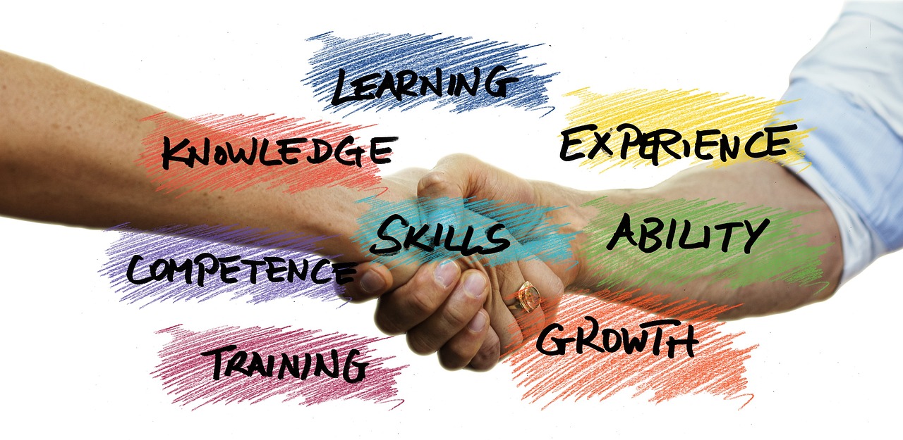 Innovation Strategies
